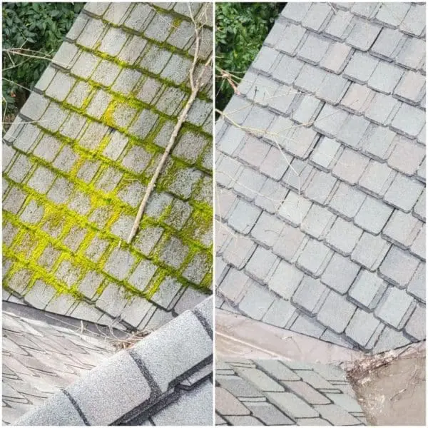 Professional deck cleaning by Aqua-Nomics restores wood surfaces, removing dirt and grime for a fresh, clean, and durable finish