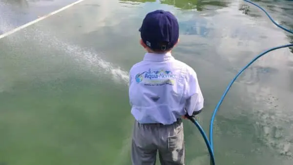 Know what to check when hiring a power washing company including experience, equipment, insurance, and customer reviews for peace of mind