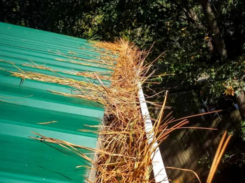 gutter-flushing-before.jpg gutter-flushing-before.jpg