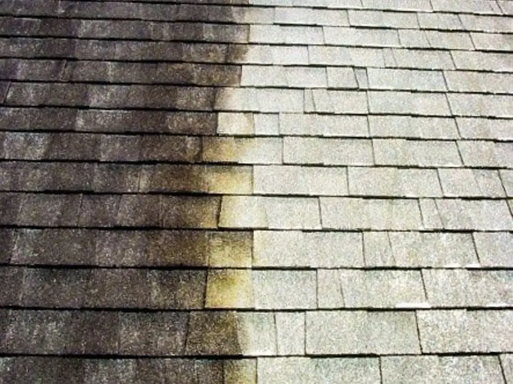 roof-treatment-closeup.jpg roof-treatment-closeup.jpg