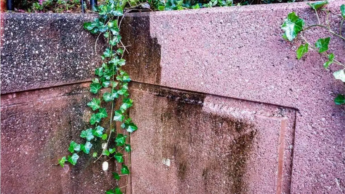 Side-by-side view of a concrete wall before and after pressure washing highlights removal of mold, dirt, and grime for better curb appeal and hygiene