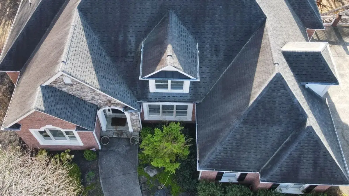 Spotting and Stopping Algae Damage on Roof Shingles | Aqua-Nomics Learn to identify algae damage on your roof shingles and discover effective solutions to prevent long-term harm with expert pressure washing insights