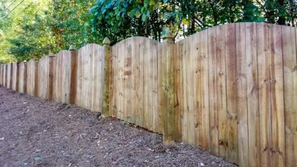 A clean, curved wooden fence along a wooded path highlights the results of professional exterior cleaning with rich wood tones and zero grime