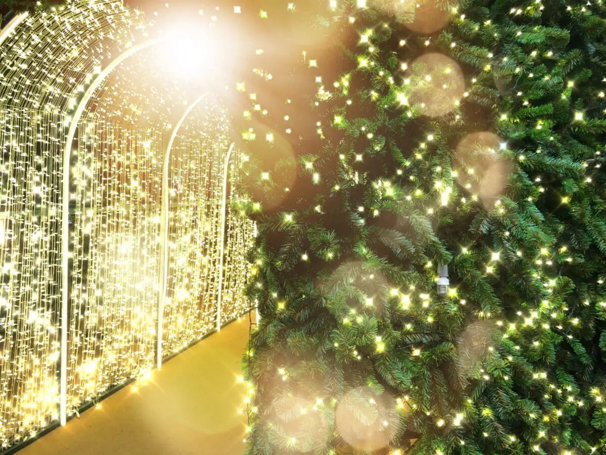 Sparkling Tunnel of Christmas Lights Display Magical holiday tunnel with warm white lights and decorated greenery—perfect for showcasing premium Christmas light installations