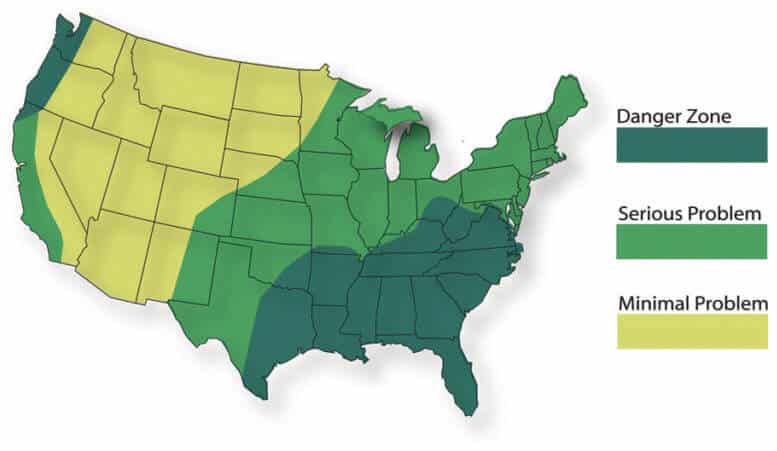 mold-growth-map Mold Infestation across the US