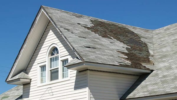 What Are Those Black Streaks on My Roof & How Soft Washing Can Help?