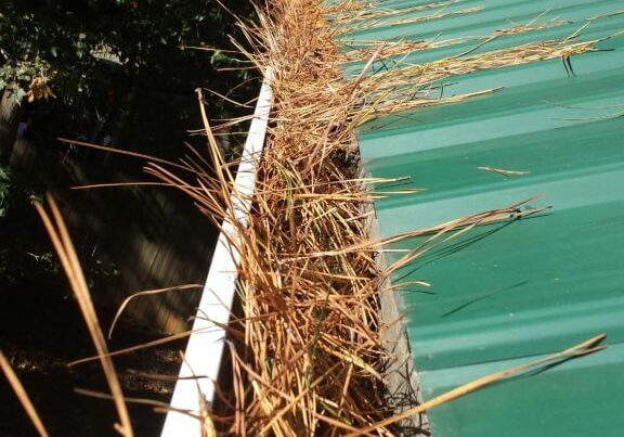 Roof Gutter Clogged With Dry Grass