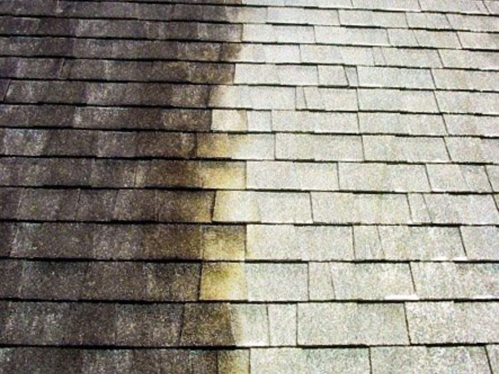 roof-treatment-closeup.jpg