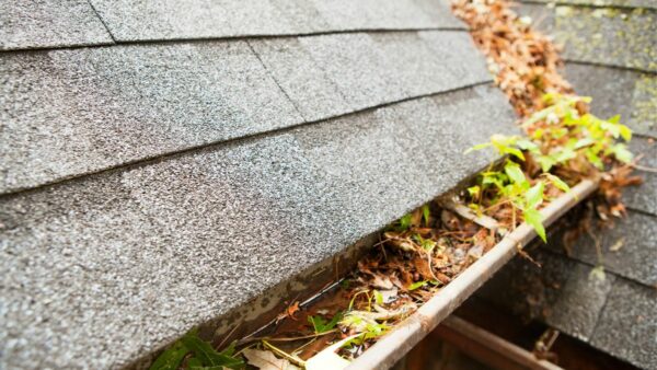 6 Signs Your Gutters Are Clogged