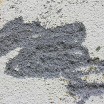 Damage to Stucco